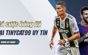 Độ uy tín của Tinycat99 là không cần bàn cãi