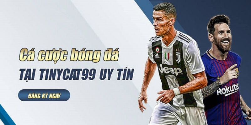 Độ uy tín của Tinycat99 là không cần bàn cãi