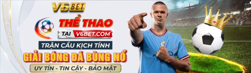 Cá cược thể thao với V6bet