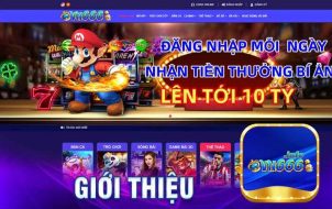 Thông tin về thương hiệu VN666